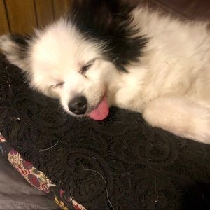 Meet your Posher, Anastasia